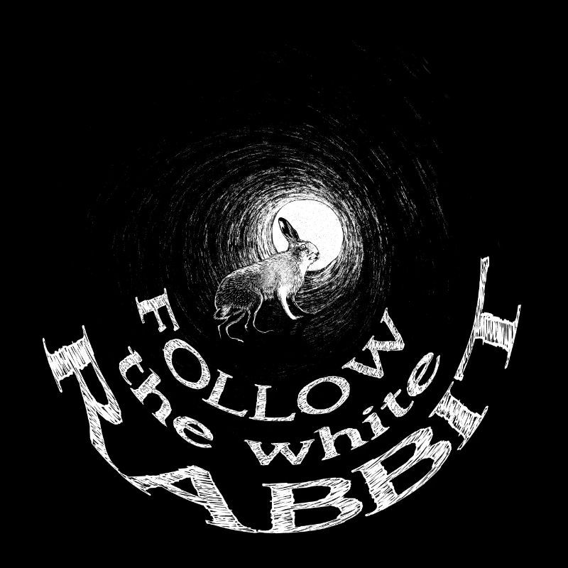 follow the white rabbit