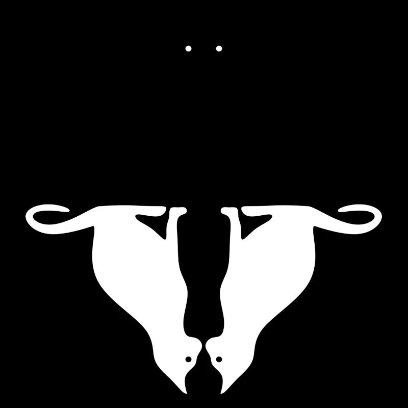 Chats, noir et blanc