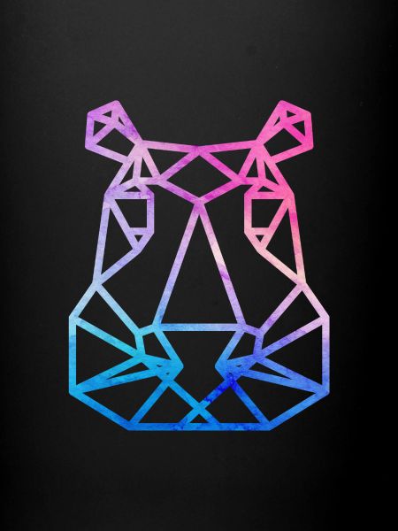 Hippo geometric