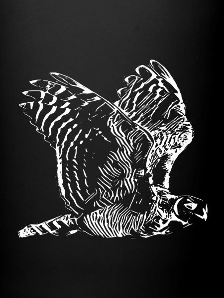 Chouettes