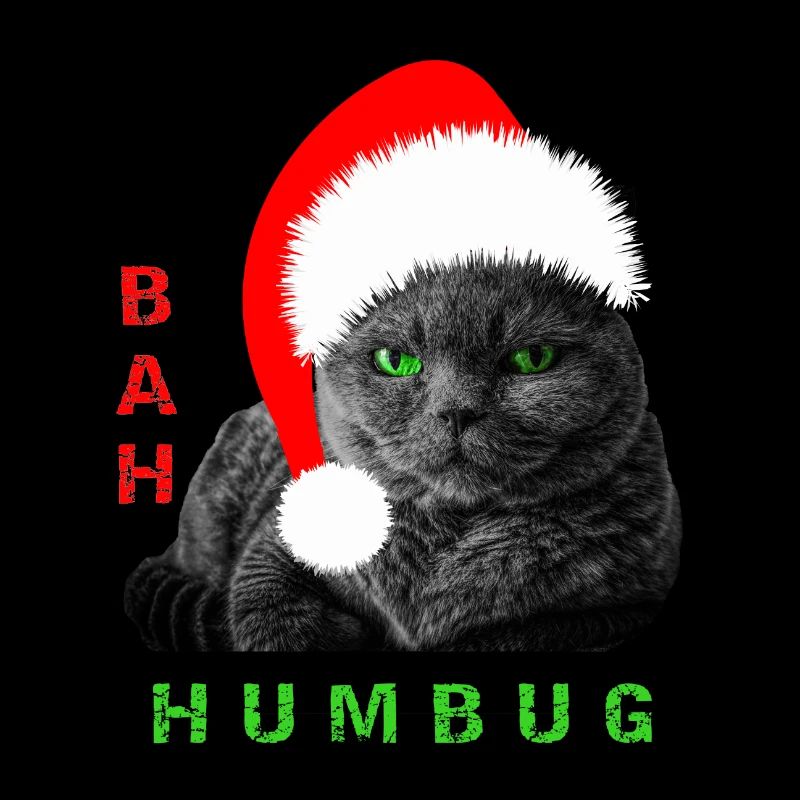 Bah Humbug Chat de Noël