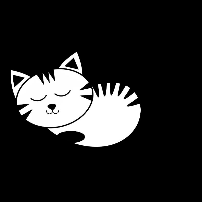 chat noir chat chaton doux cadeau de Noël