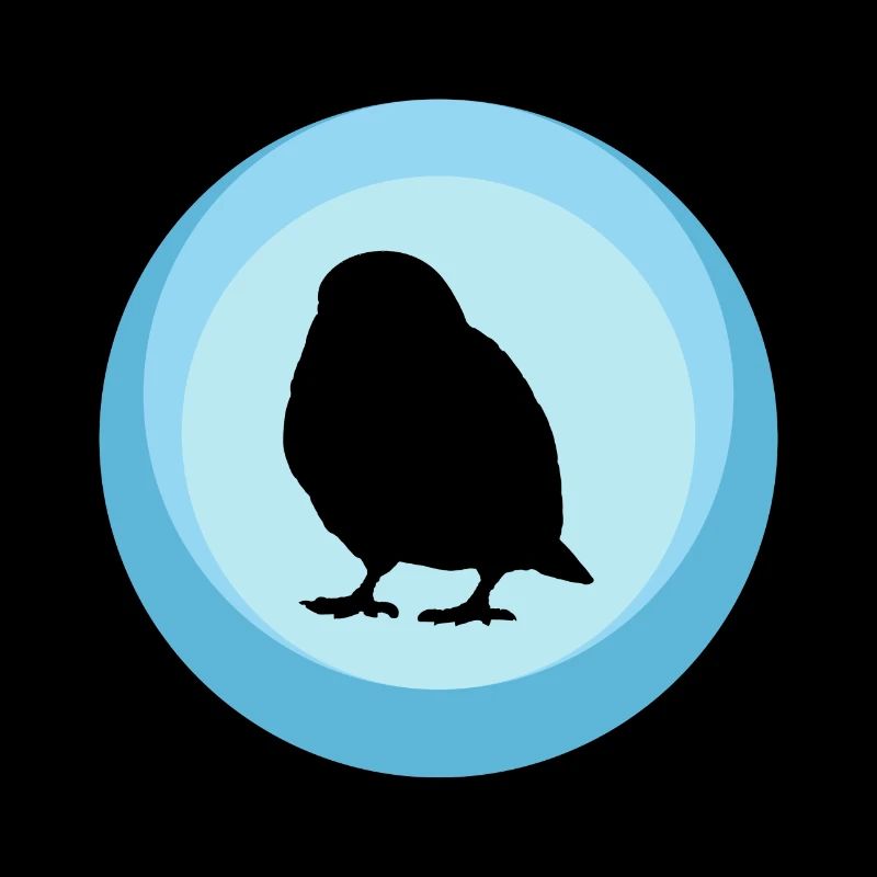 Oiseau Perruche Volant