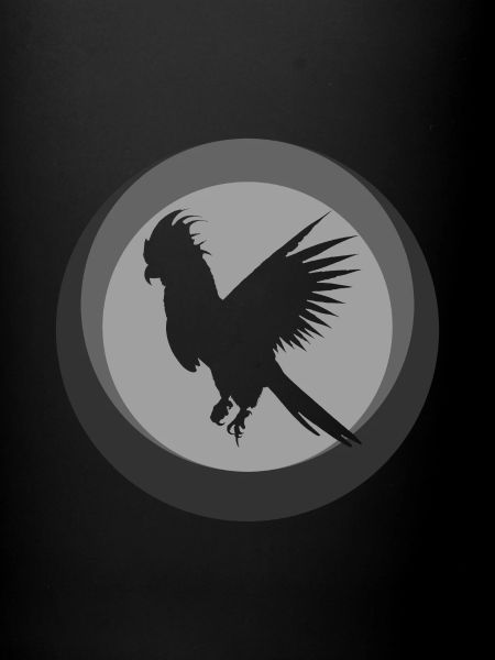 Cacatoès d’oiseaux Cacatoès