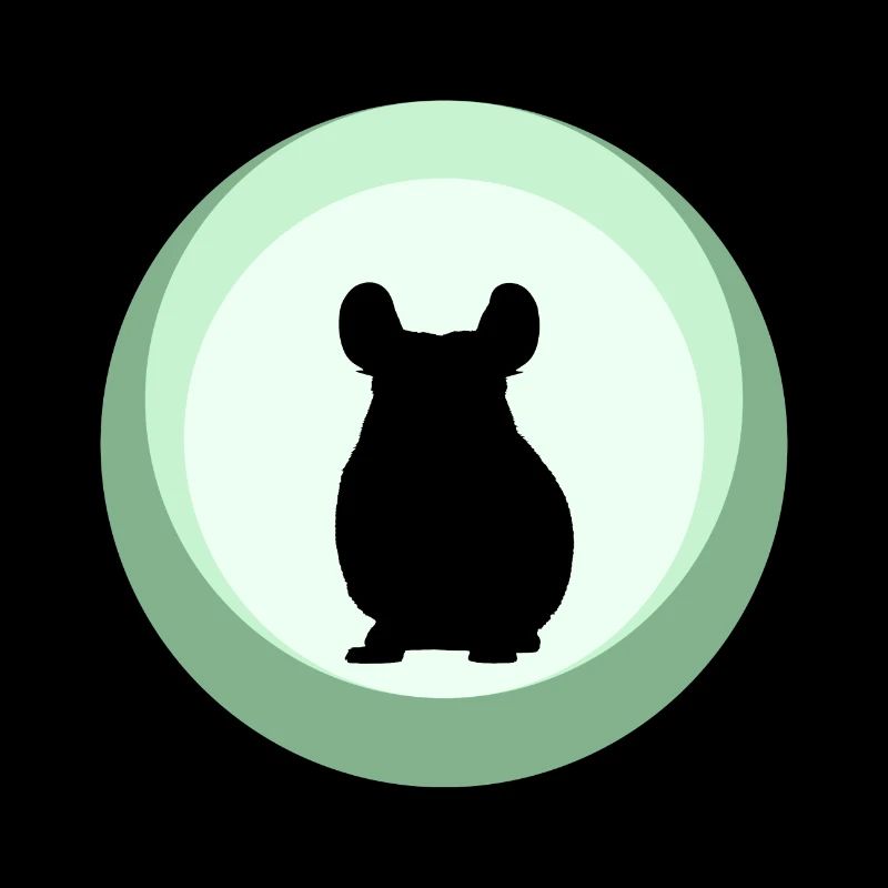 Chinchilla Mouse Chipmunk