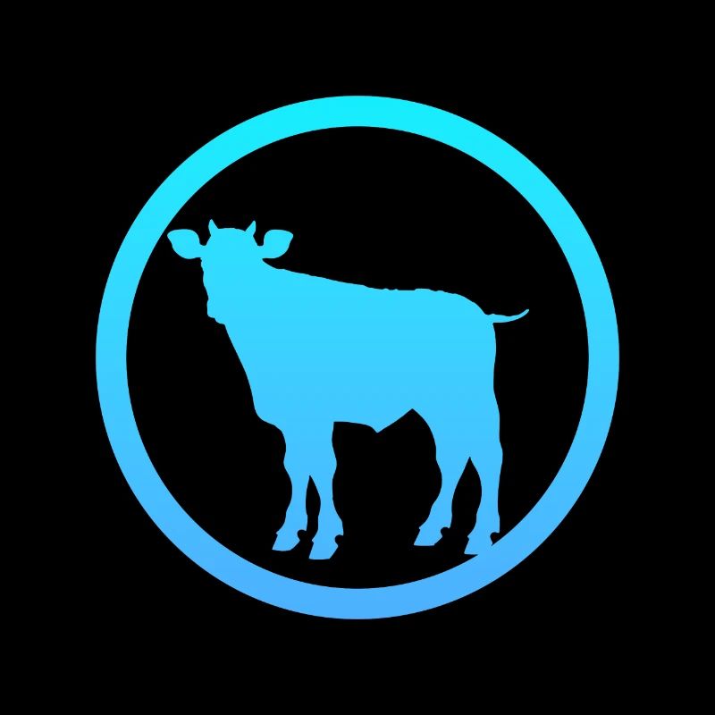 Vaches Cornes de vache