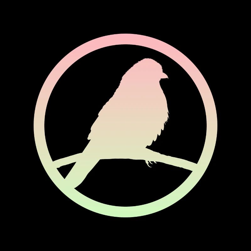 Peep Parakeet Bird Watching