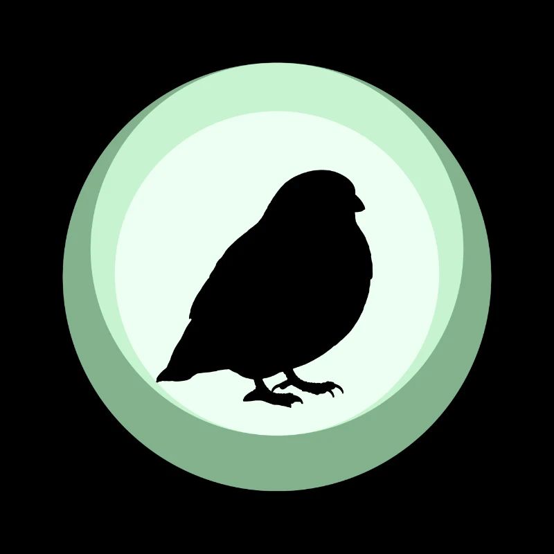 Bird Bird Bird Watching