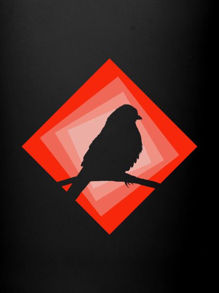 Perruche Oiseau Peep