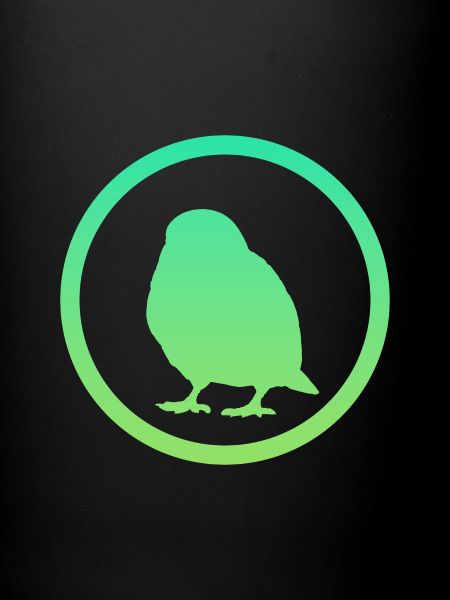 Oiseau Oiseaux Oiseau