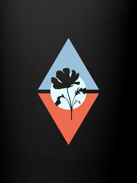 Botany Flower Plants