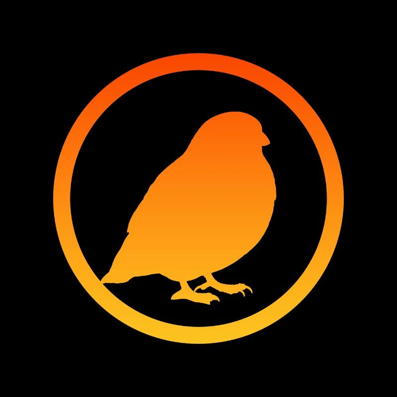 Vogel Vögel Vogel Abbildung