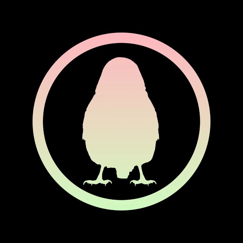 Oiseau Illustration D’oiseau Perruche