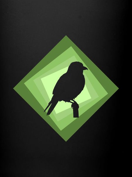 Perruche, Oiseau, Animal