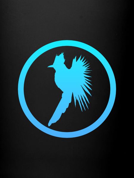 Oiseau Calopsitte Volant