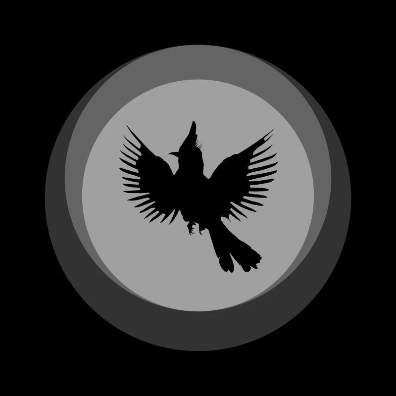Calopsitte Oiseau Oiseau