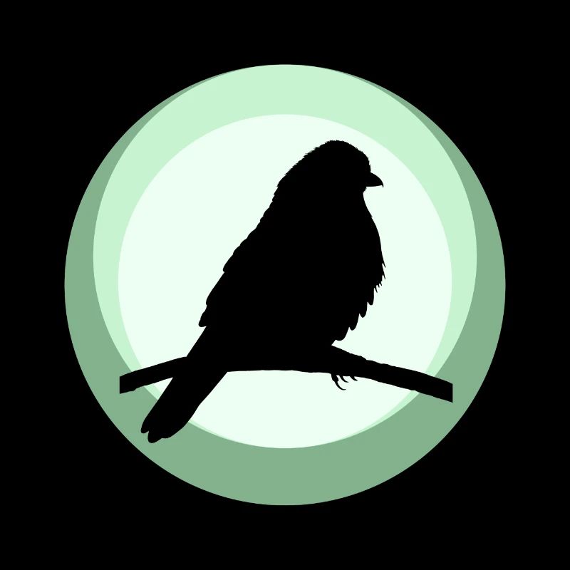 Sittich Tier Vogel Abbildung