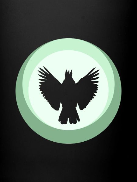 Oiseau Oiseau Perroquet