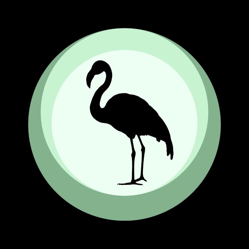 Flamingos Exotisch Wasservogel