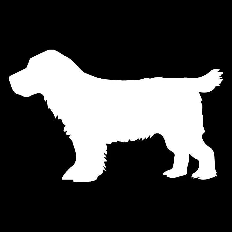 Cocker Spaniel Chien – blanc – SUA
