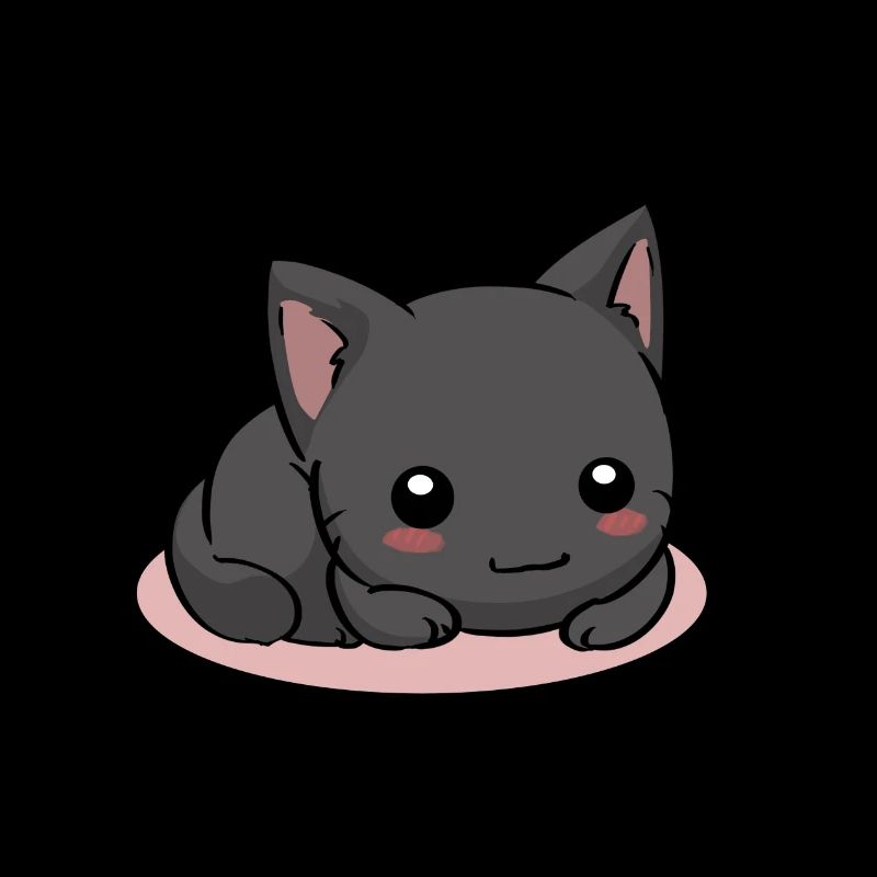 Black cat