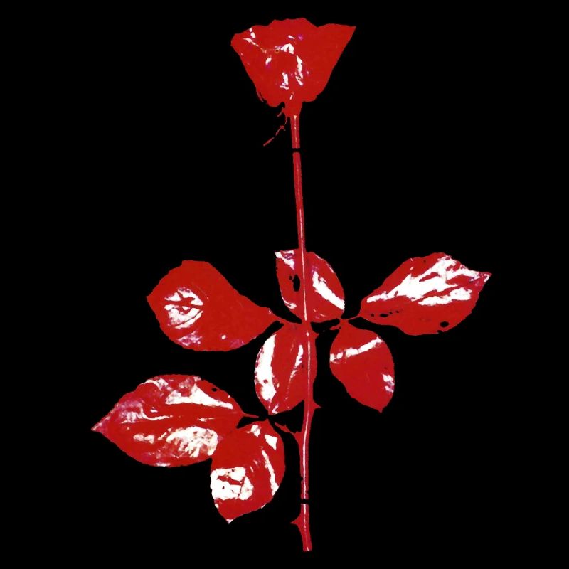 Flower Rose Violator Graphic