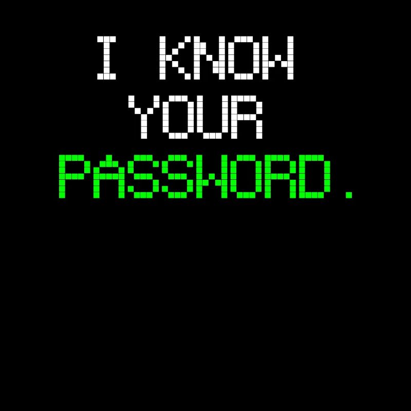 Hacker Passwort