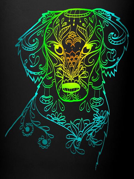 Rainbow Doodle Dog