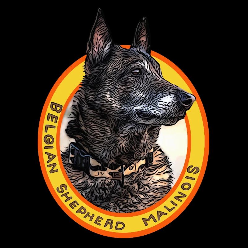 belgian shepherd malinois noir