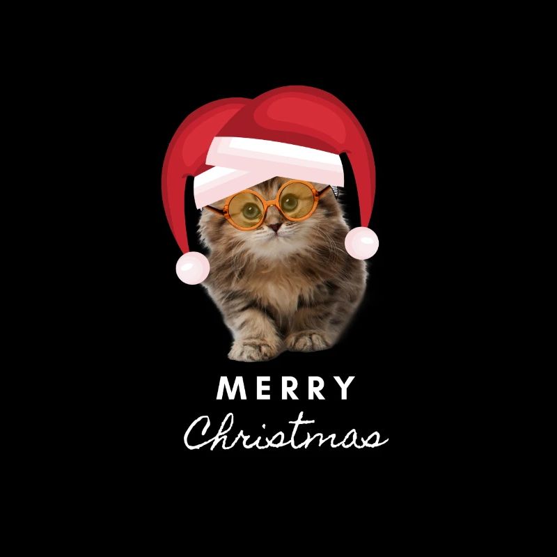 Noël chat joyeux noël