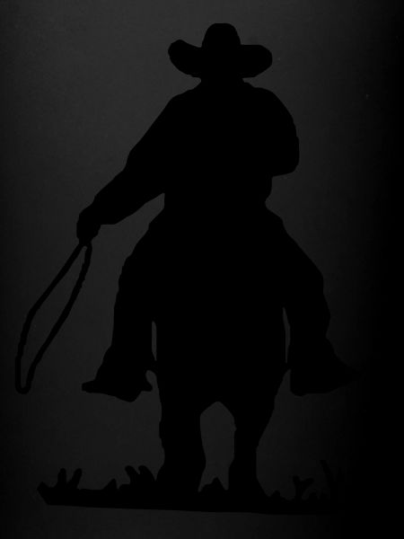 Cow-boy