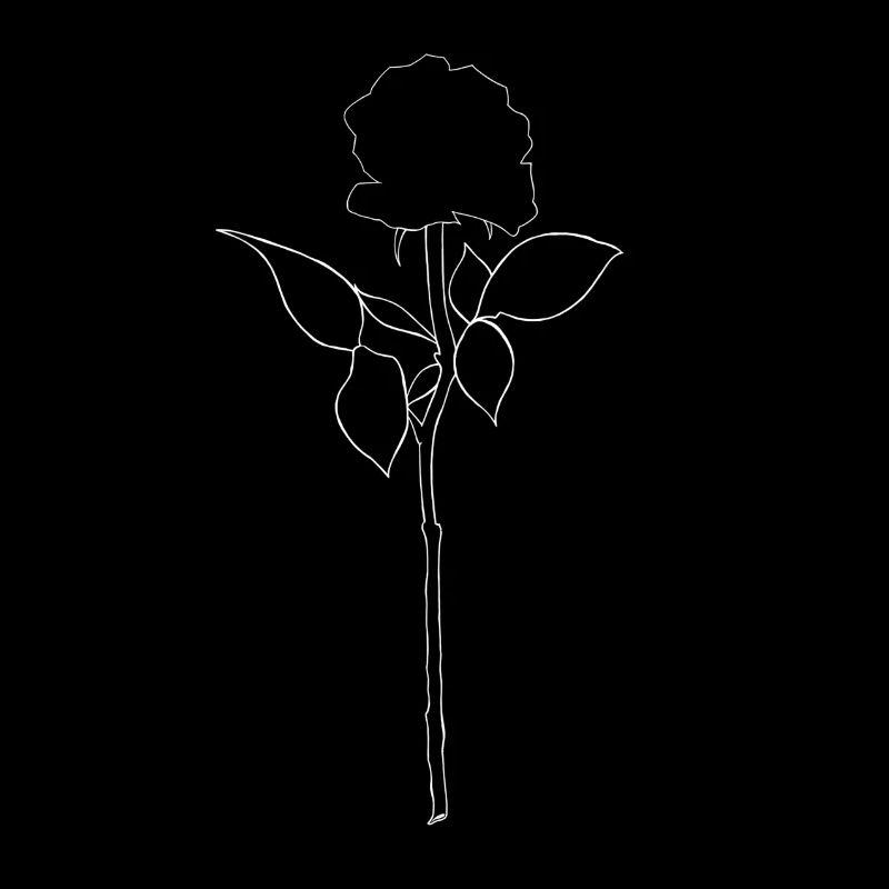 Schwarze Rose