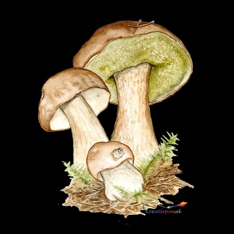Steinpilze
