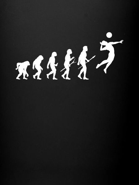 evolution volley-