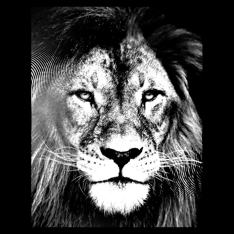 Lion noir blanc design
