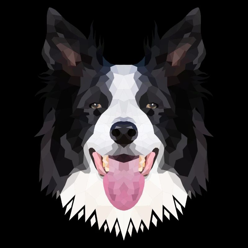 Polyart Border Collie