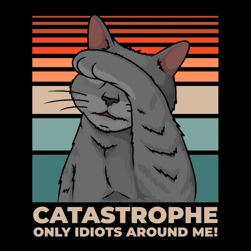 Cat Disaster Everywhere Idiots Funny