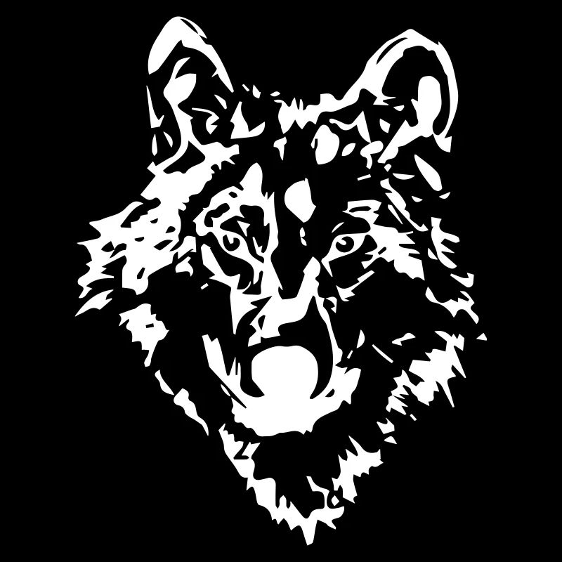 Wolf Sketch Drawing