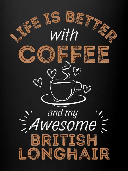 Café british Longhair Cat