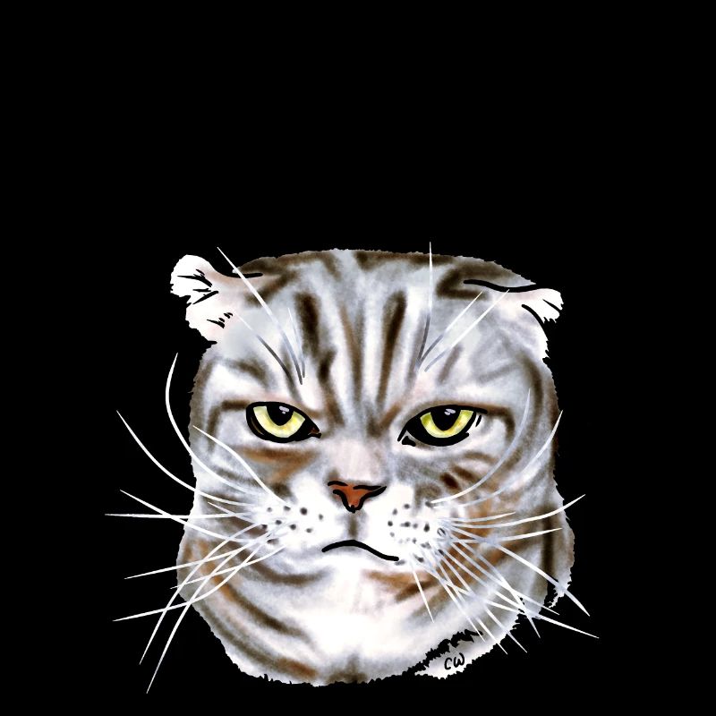 Jasper lacht nicht gern