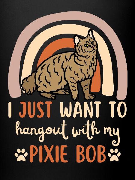 Mignon Pixie Bob Cat