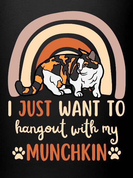 Mignon chat Munchkin