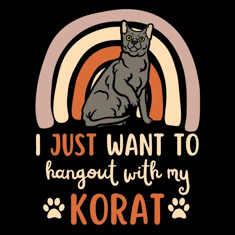 Mignon Korat Cat