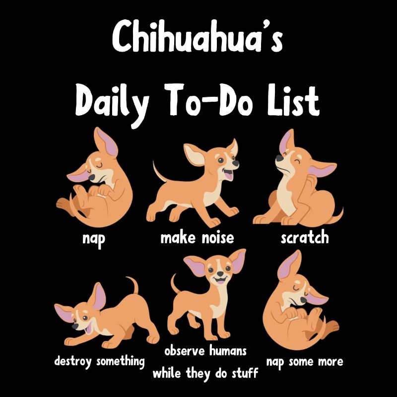 Chihuahua Hemd