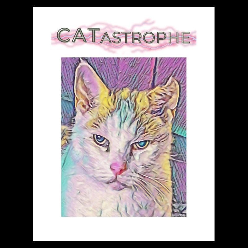 Catastrophe, Chat