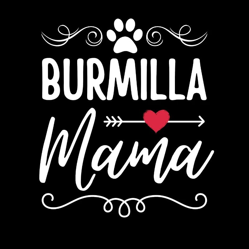 Burmilla Chat Maman Burmilla Maman
