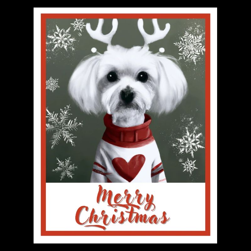 Doux chien maltais dans un pull de Noël rouge.