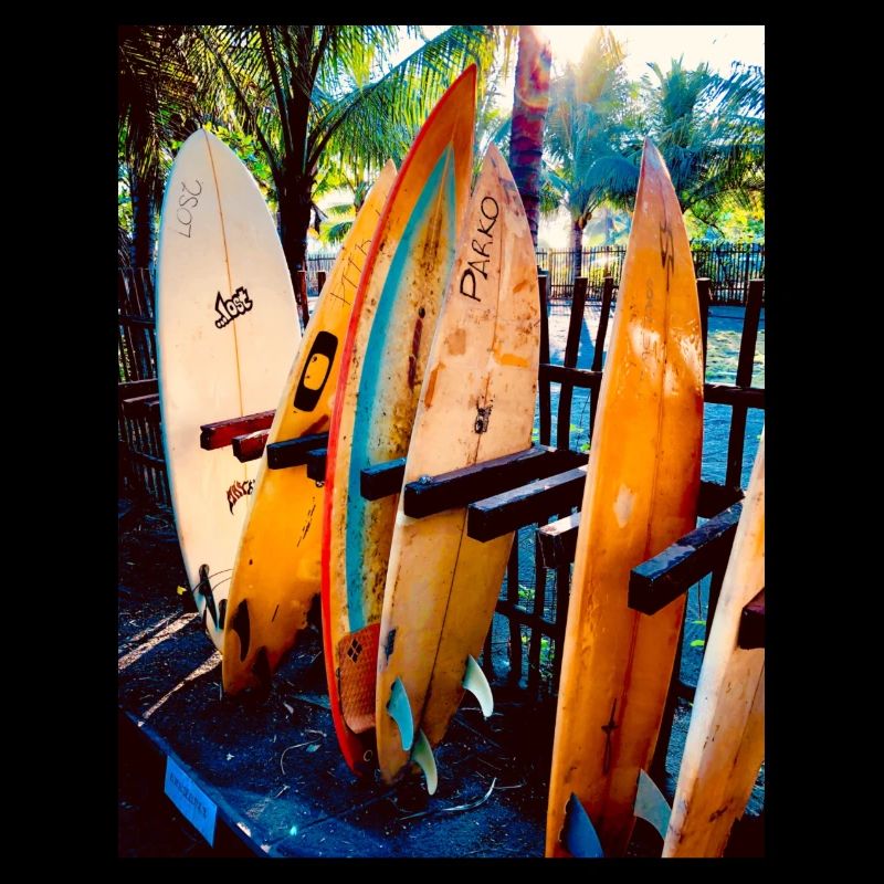 0D51E966 3A7D 4A50 8CA4 EE8FF19C5FDB