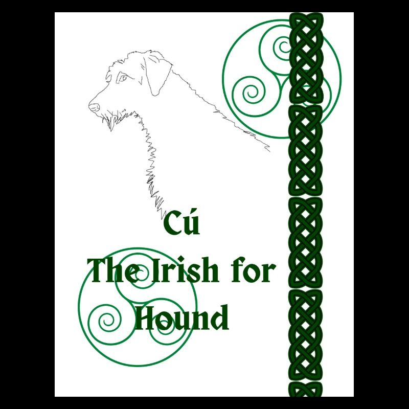 Cú, l’irlandais pour chien de chasse