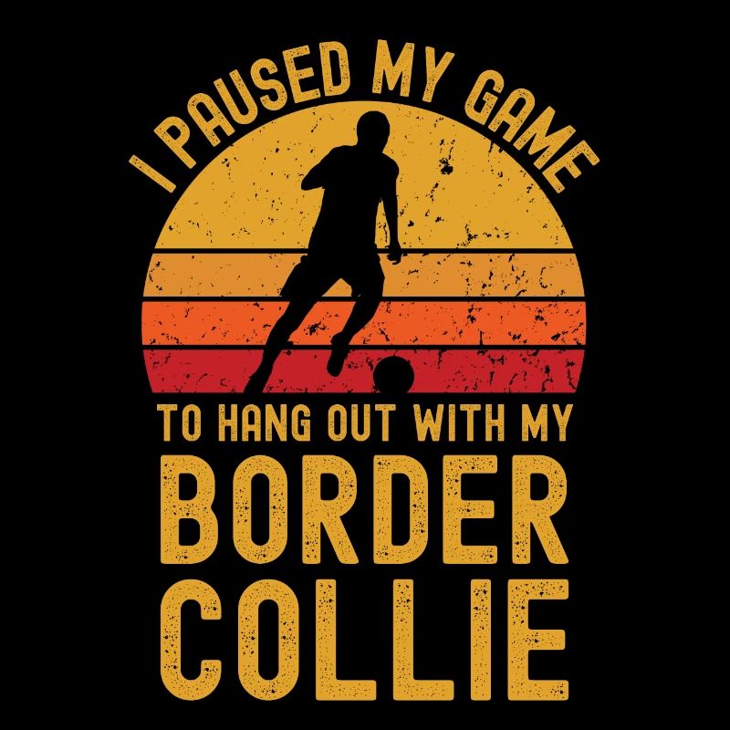 Fußball und Border-Collie
